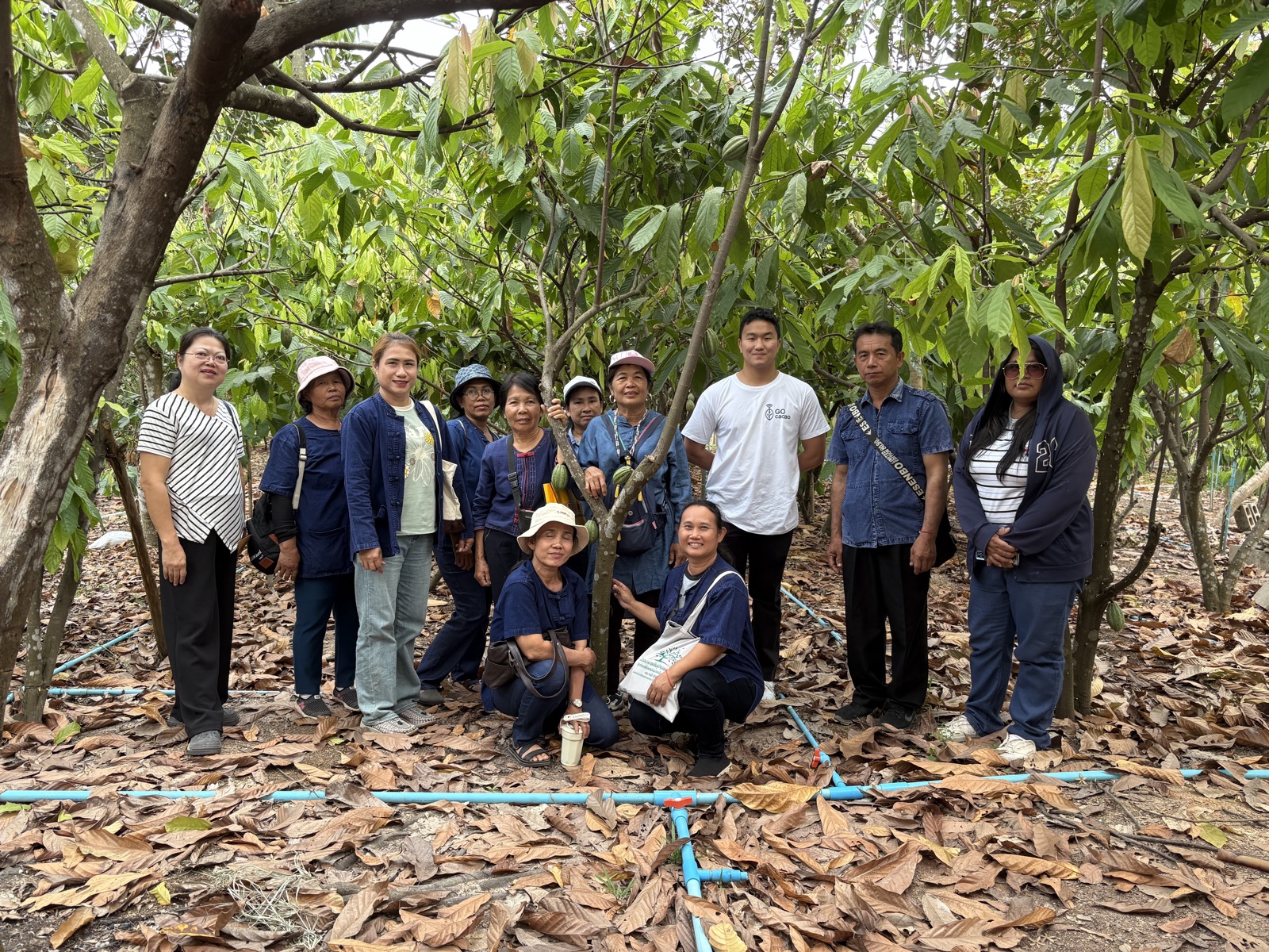 GOcacao farmers cooperative