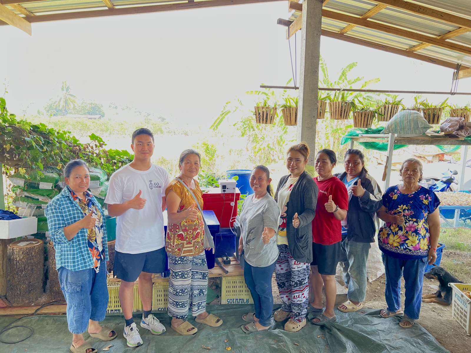 Phrae cooperative group