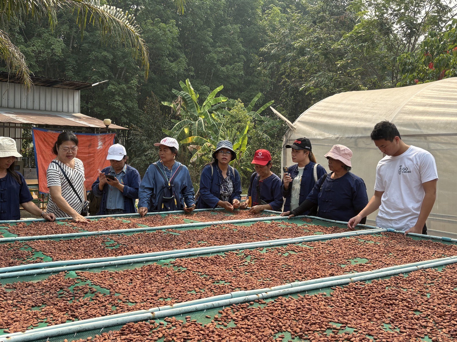 Farmer cooperative group