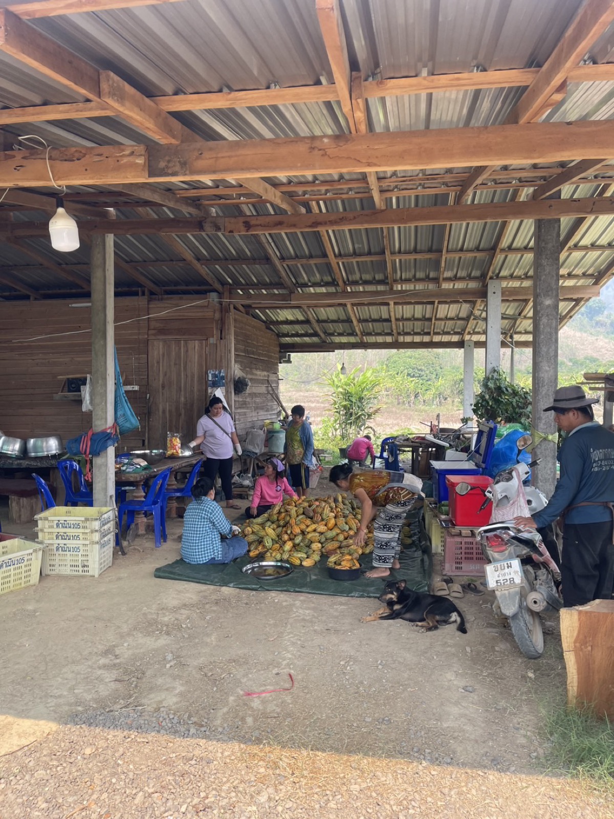 Farmer cooperative