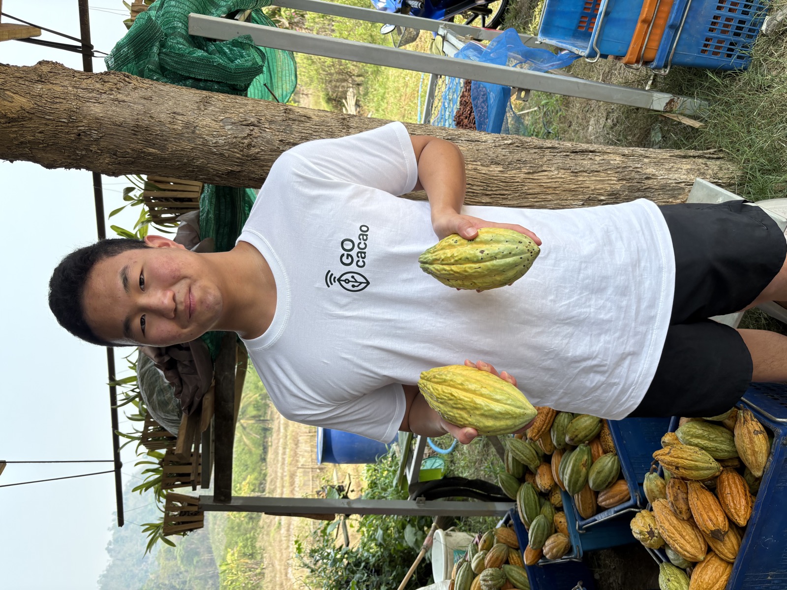 Naravid Tejavanija — GOcacao founder