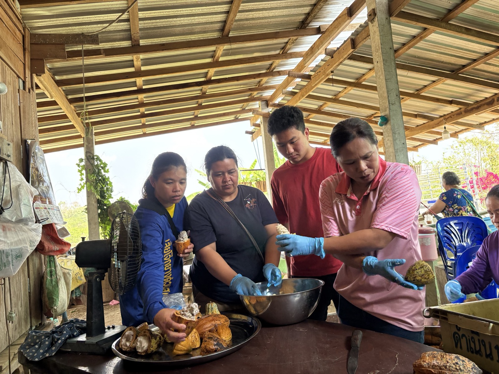Hands-on training session — Phrae